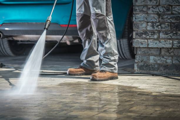 Best Pre-Holiday Cleaning  in Forsyth, MO