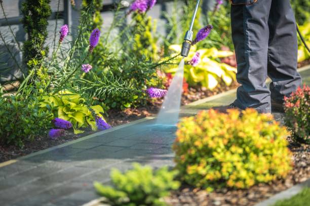 Best Patio and Deck Pressure Washing  in Forsyth, MO