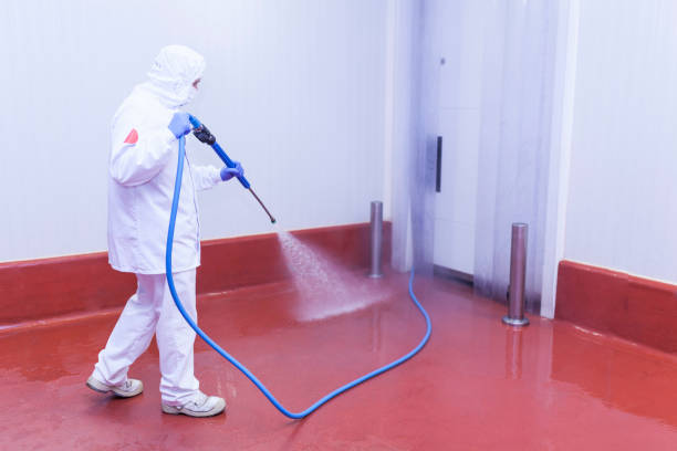 Paint Preparation in Forsyth, MO